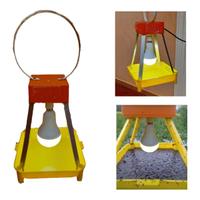 Electrical Insect Light Trap with Adapter and Handle